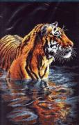 Tiger Chilling Out
